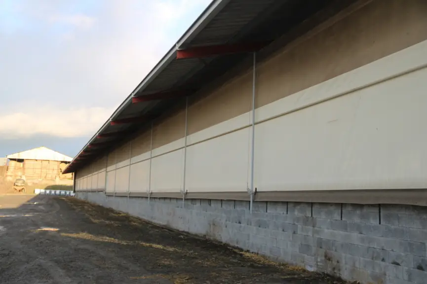 Vue extérieure d'un bâtiment d'élevage bovin équipé de filets brise-vent. Les filets sont descendus.
