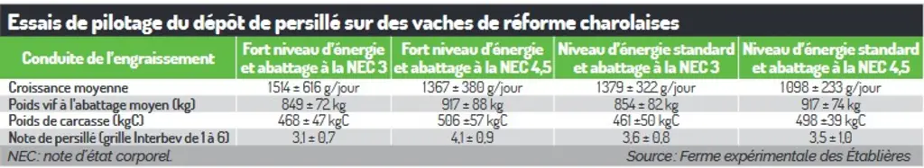 essai finition vaches de réforme note de persillé