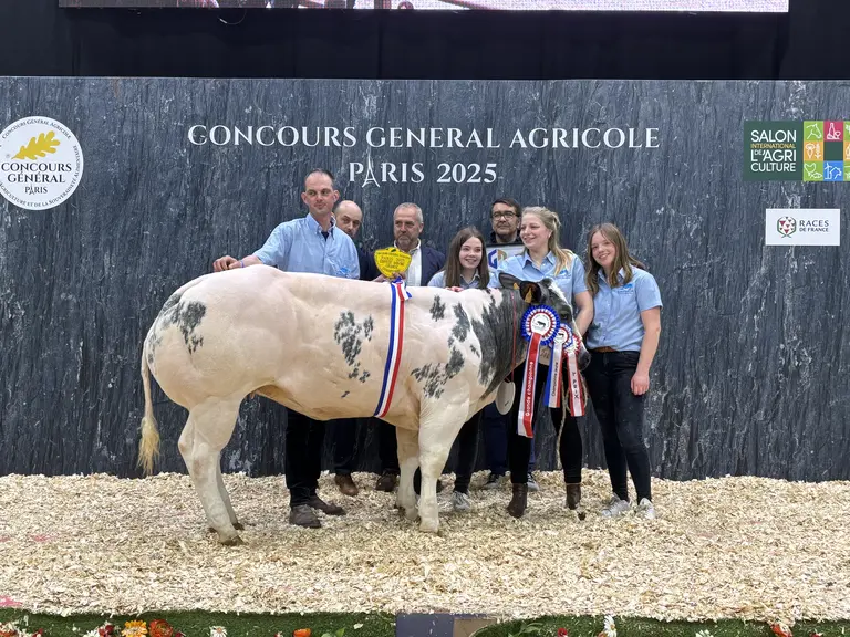 Concours général agricole 2025 race blanc bleu