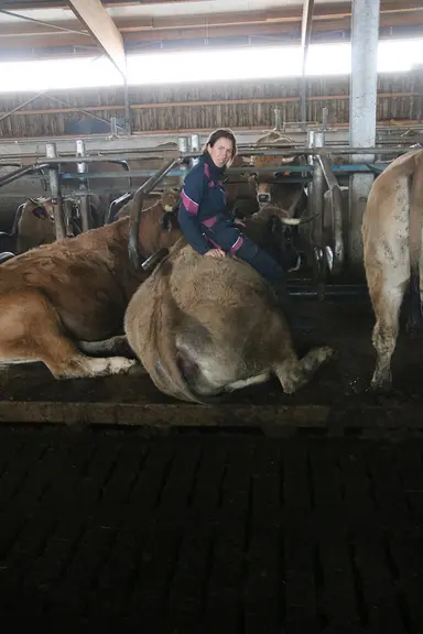 <em class="placeholder">Éleveuse assise sur une vache Aubrac. La vache est couchée sur une logette dans le bâtiment d'élevage.</em>