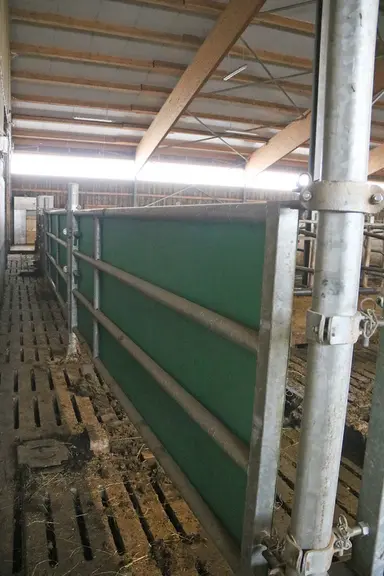 Un panneau en PVC recouvre la barrière pour vache sans corne, dotée de 4 barres horizontales.