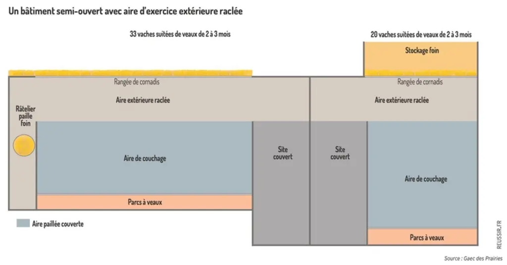 Graphique - Un bâtiment semi-ouvert avec aire d'exercice extérieure raclée