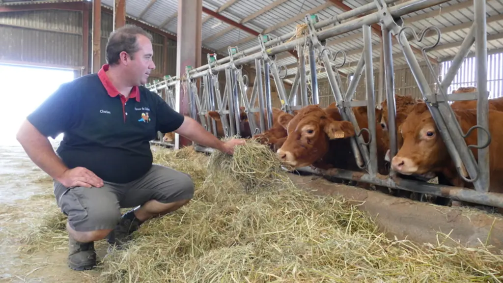Pour qualifier le fourrage de ses bovins, Charles Moreau préfère parler d’herbe séchée plutôt que de foin