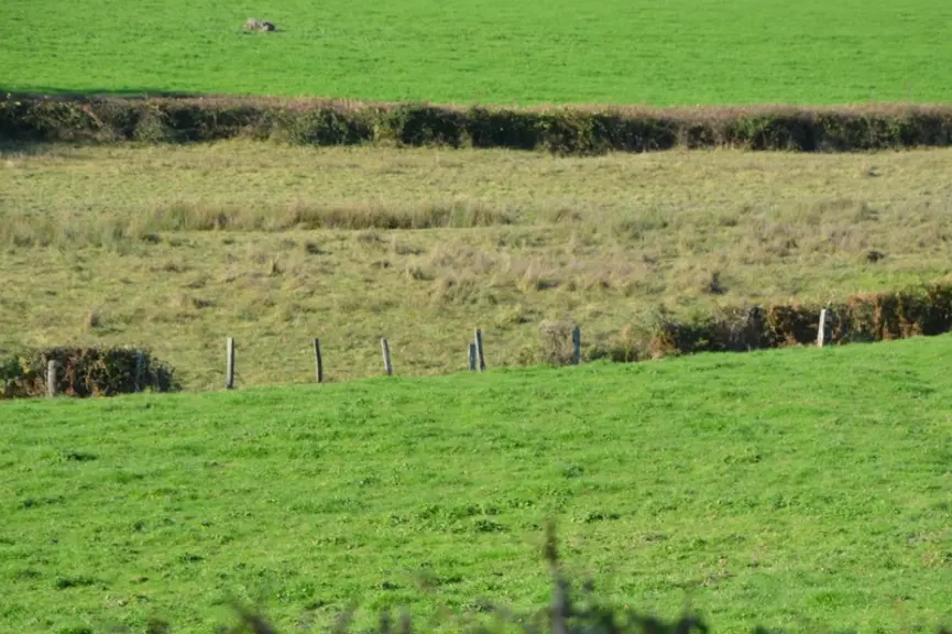 <em class="placeholder">Prairies nichées dans un vallon du Morvan dans la Nièvre</em>