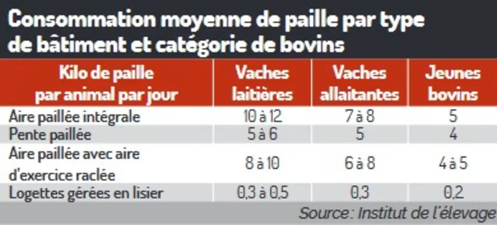 consommation moyenne de paille selon le type de bâtiment pour bovins