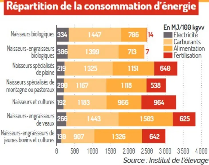 graphique consommation d'énergie élevage bovins viande