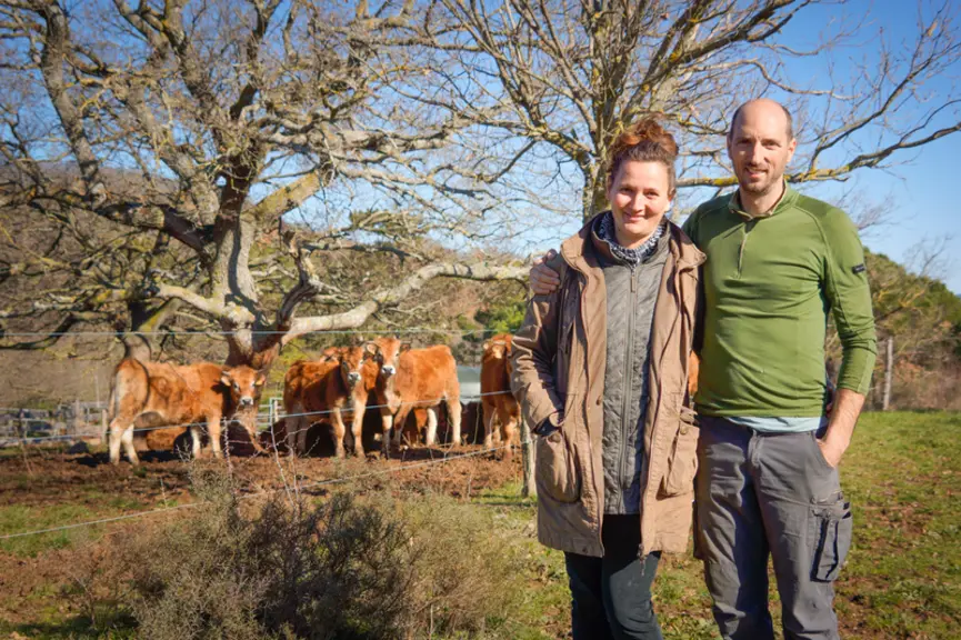 aude Gaec de Bergnes vaches aubrac