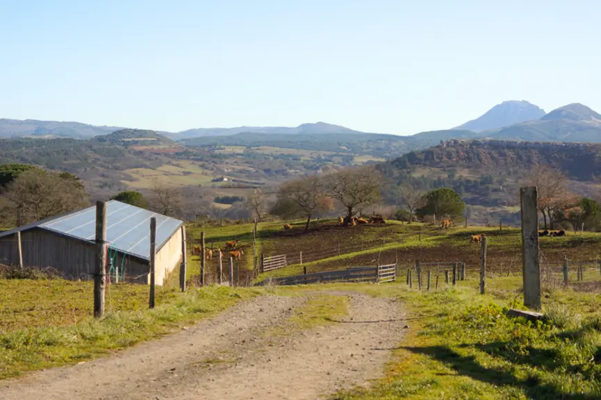 Aude Gaec de Bergnes élevage aubrac