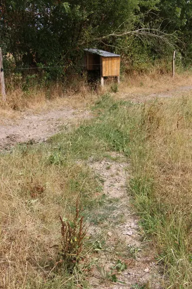 poste électrique clôture pour bovins