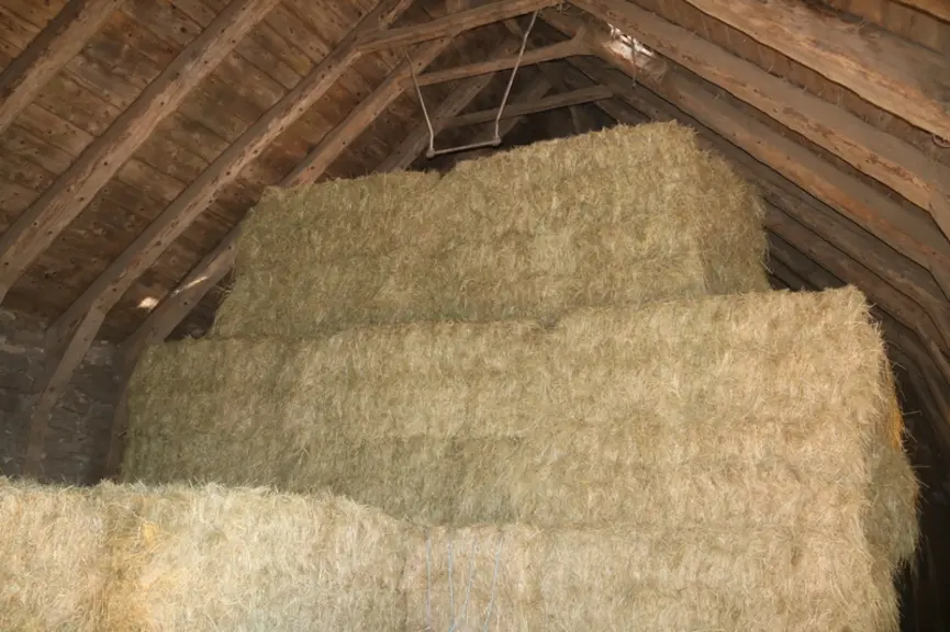 foin balles carrées stockage