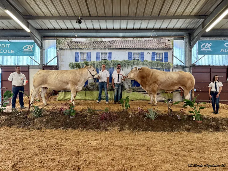 concours national blonde d'Aquitaine 2025 Lezay