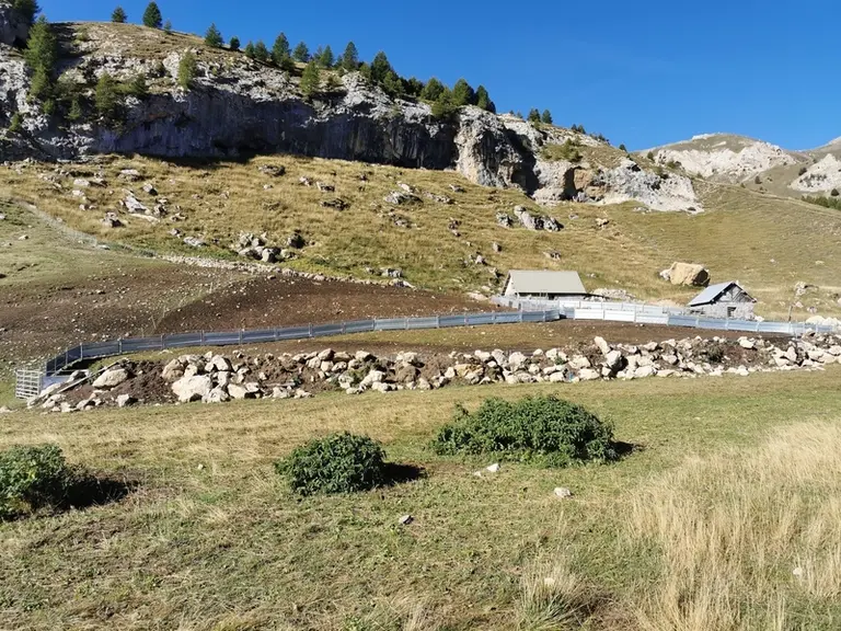 groupement pastoral montagne estive transhumance