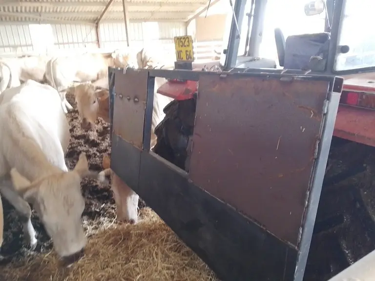 barrière de contention vache allaitante