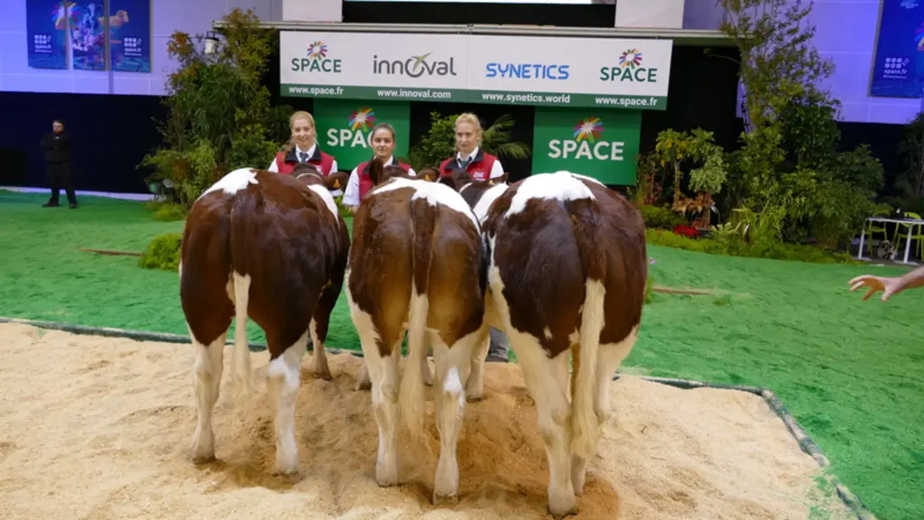space concours