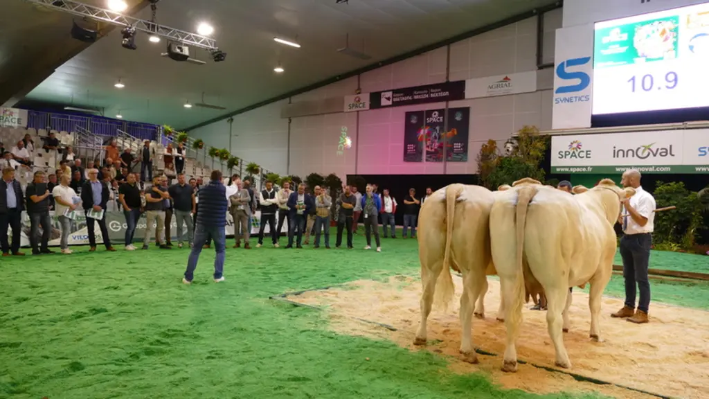 space concours