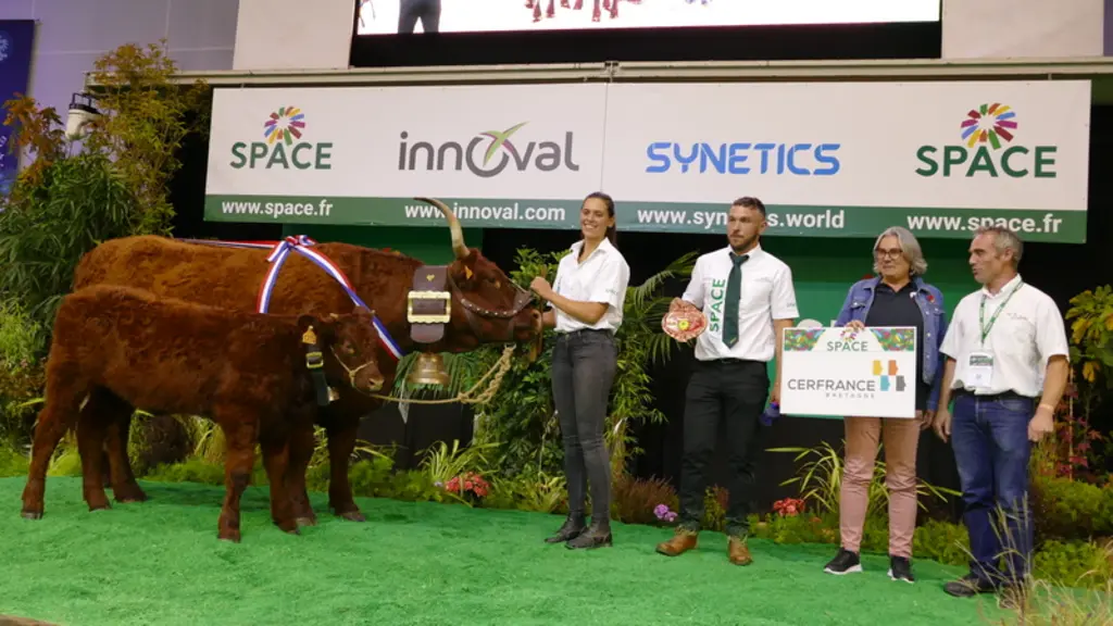 space concours