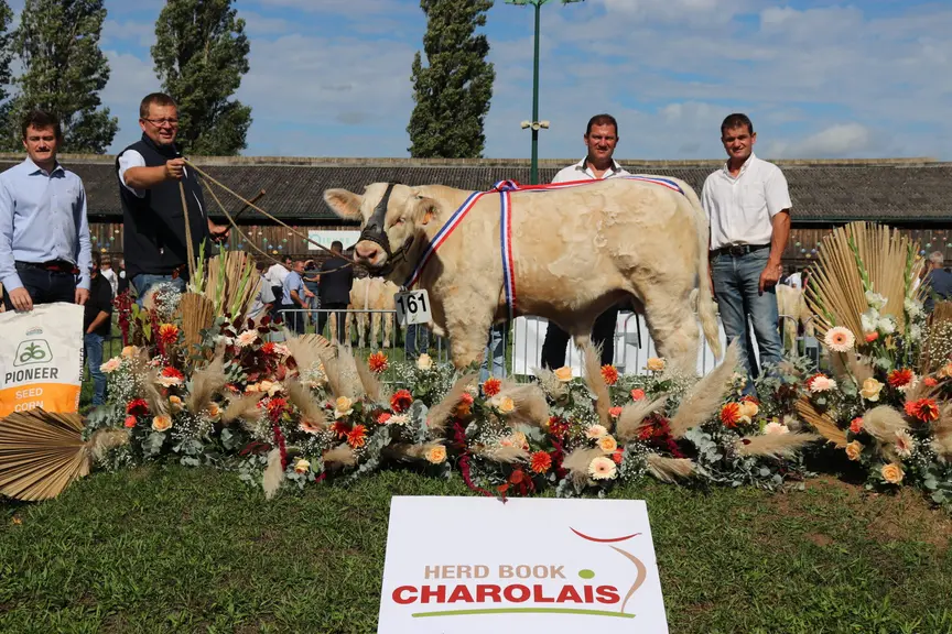 concours national des veaux charolaise