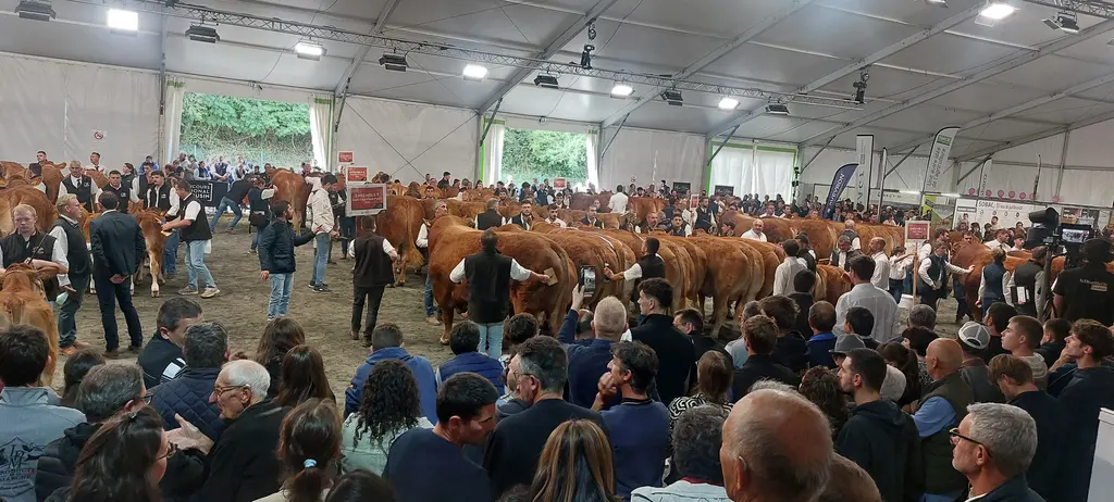 concours national limousine 2025 Baraqueville