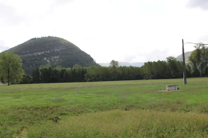 prairies Ain Haut-Bugey