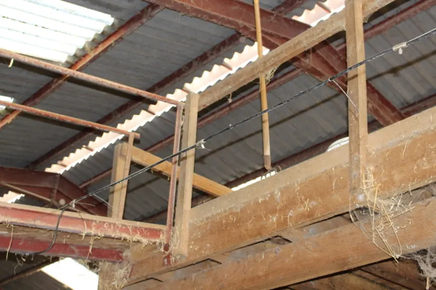 logement veaux passerelle de paillage et brumisateur