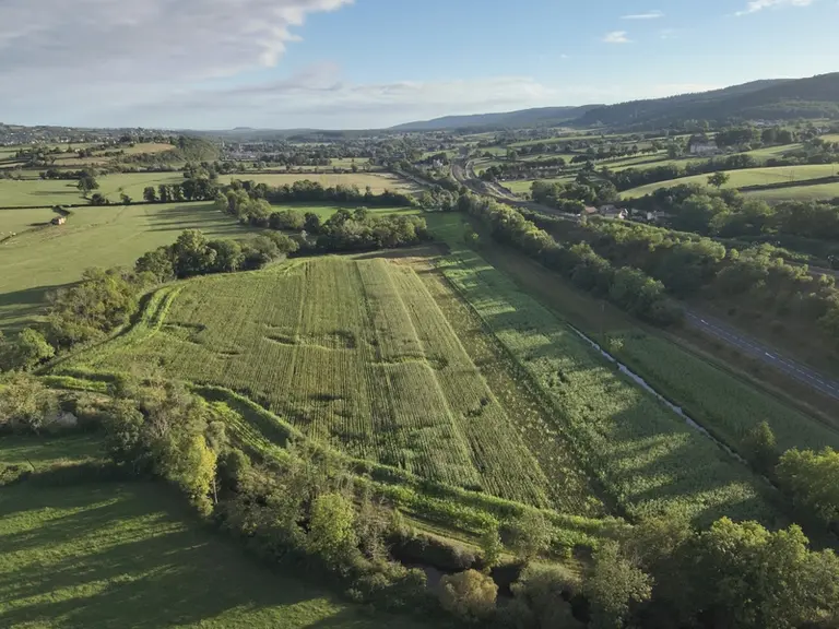 essai sorgho mono-coupe Ferm'Inov Saône-et-Loire vue par drone