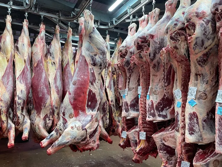 carcasses de bovins viande abattoir frigo
