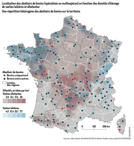Graphique - Localisation des abattoirs de bovins (spécialisés ou multiespèces) en fonction des densités d'élevage de vach