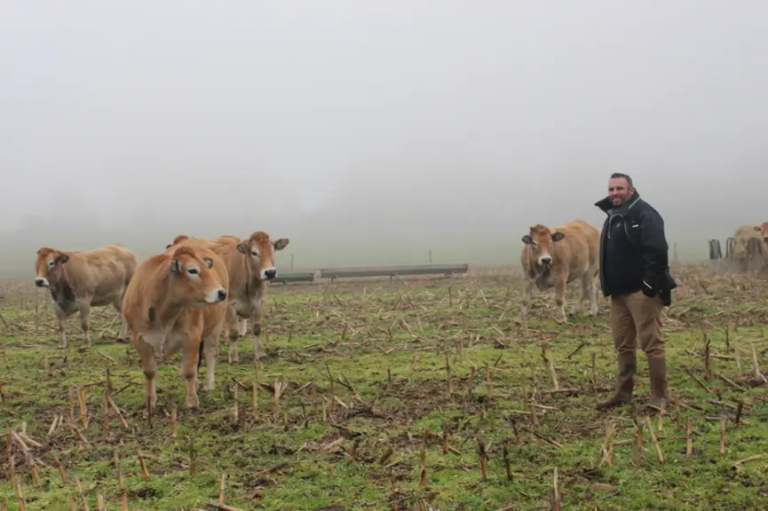 éleveur prairie parthenaises brouillard