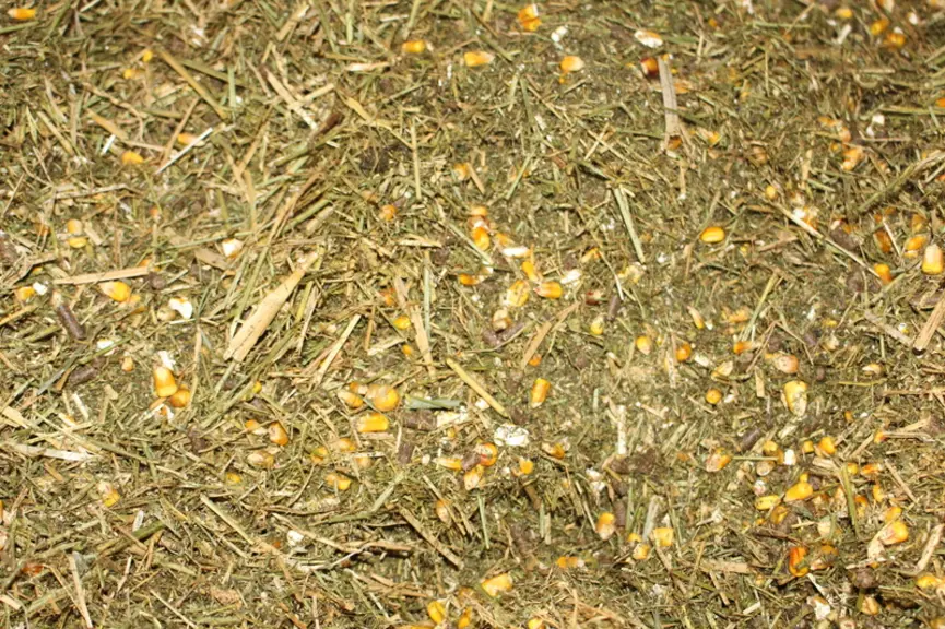 mash fibreux pour veaux