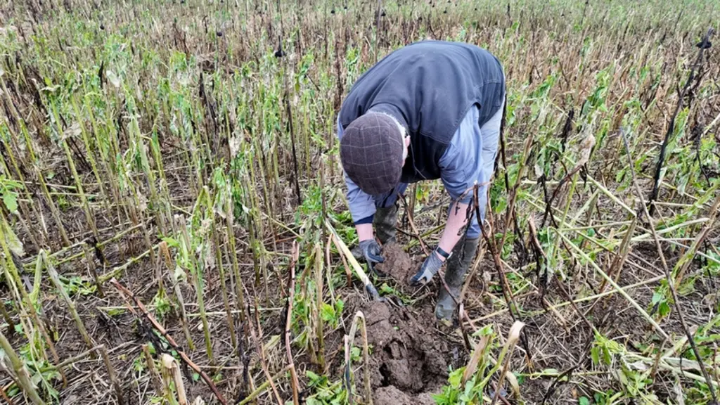 <em class="placeholder">Agriculture avec sa bêche </em>