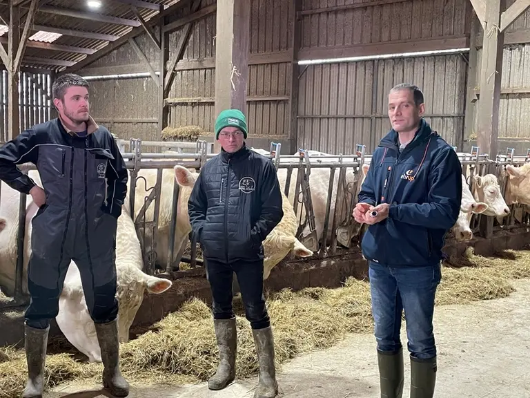 éleveurs et conseiller bâtiment vaches charolaises