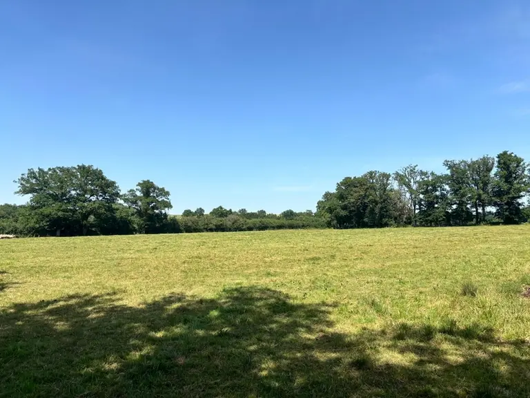 <em class="placeholder">Prairie temporaire dans l’Indre après une phase de pâturage puis une coupe de foin.</em>