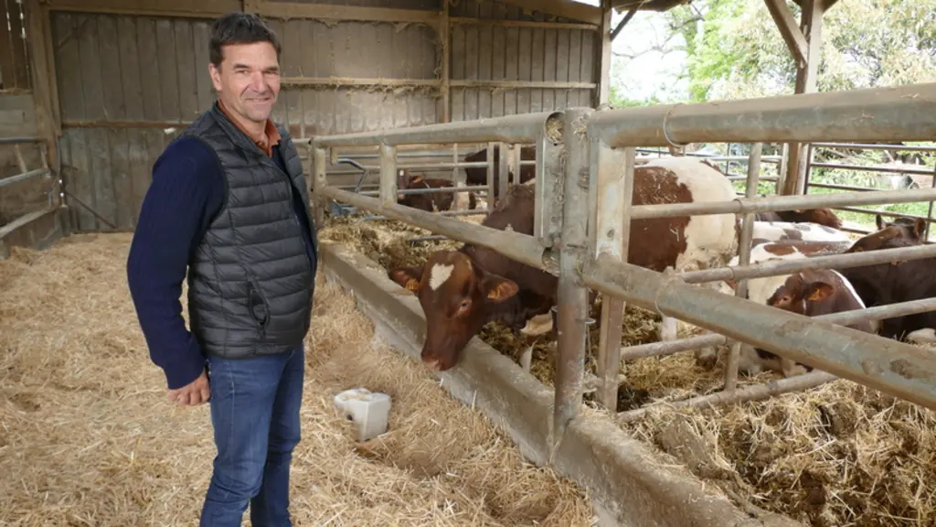 Depuis près de 30 ans, Jérôme Gaudin conduit un troupeau rouge des prés de bonne valeur génétique.