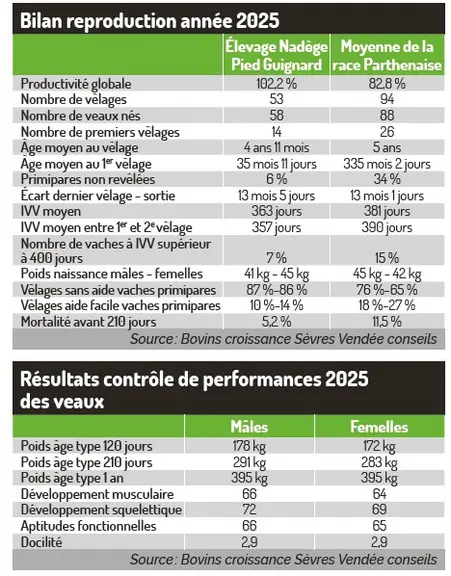 résultats reproduction génétiques sabot d'or