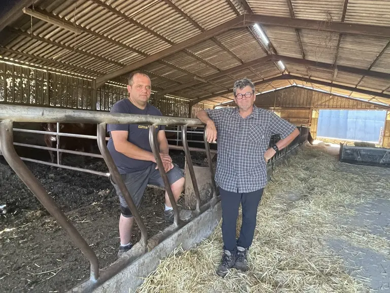 éleveur et conseille bâtiment salers cantal
