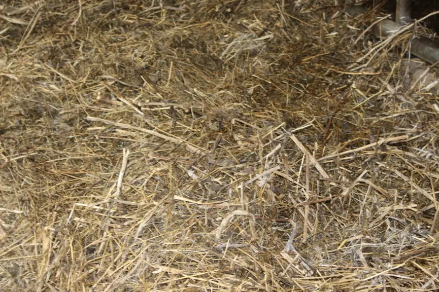 ration complète mélangée