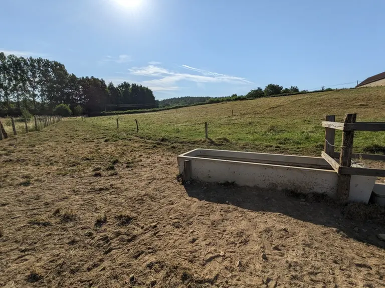<em class="placeholder">abreuvoir dans pâture</em>
