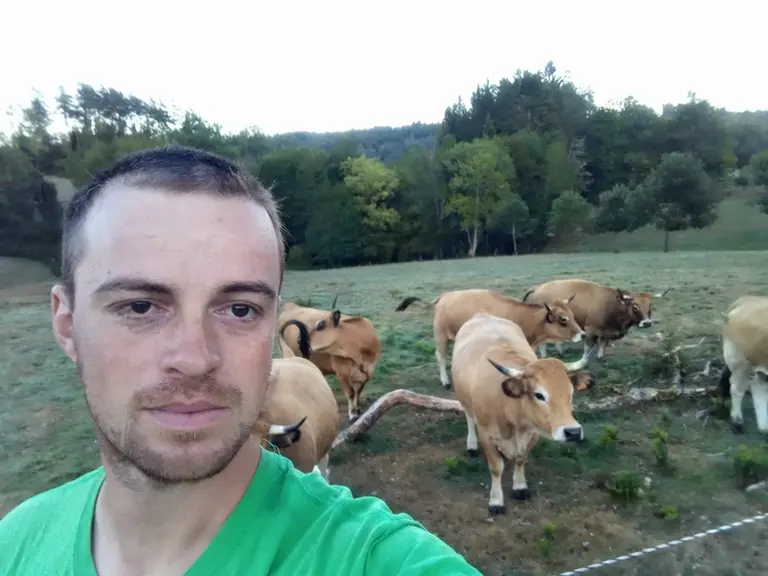 <em class="placeholder">Matthieu Peyrat devant ses vaches Aubrac</em>