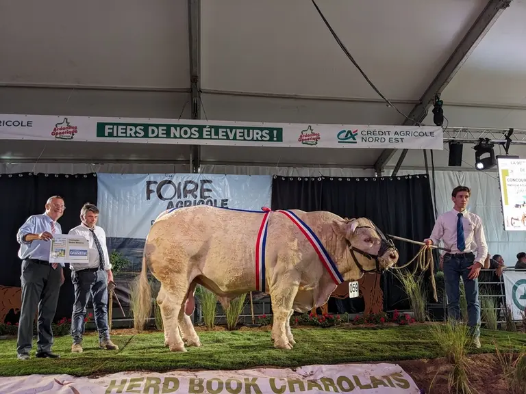 <em class="placeholder">taureau charolais concours national charolais 2026</em>