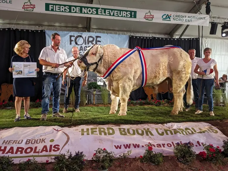 <em class="placeholder">Champion junior mâle concours charolais 2026</em>
