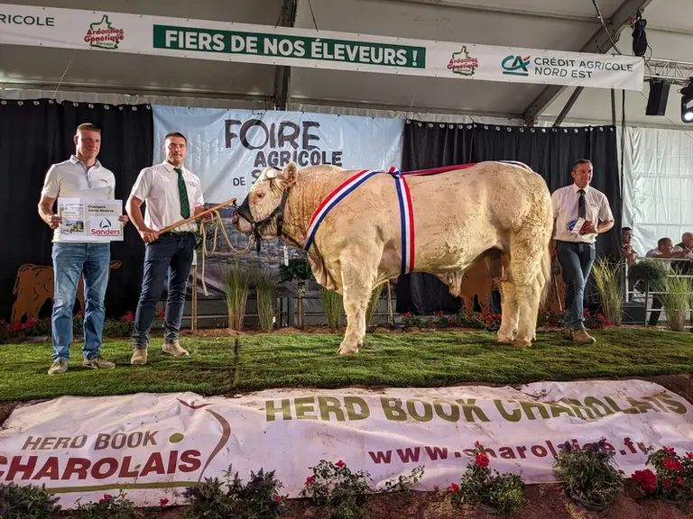 <em class="placeholder">taureau charolais concours national charolais 2026</em>