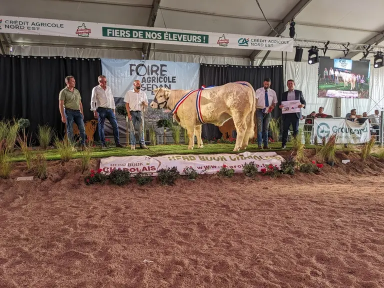 <em class="placeholder">vache charolaise concours national charolais 2026 gagnant trophée international</em>