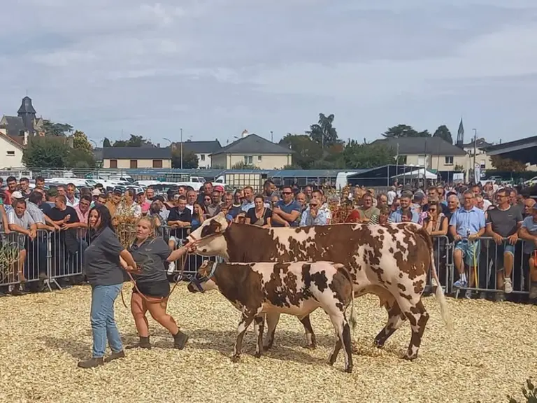 Festival de la viande d'Evron