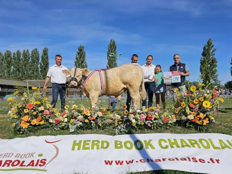 concours national des veaux