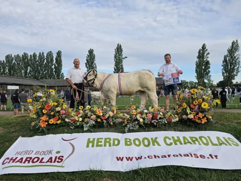concours national des veaux charolaise 2026