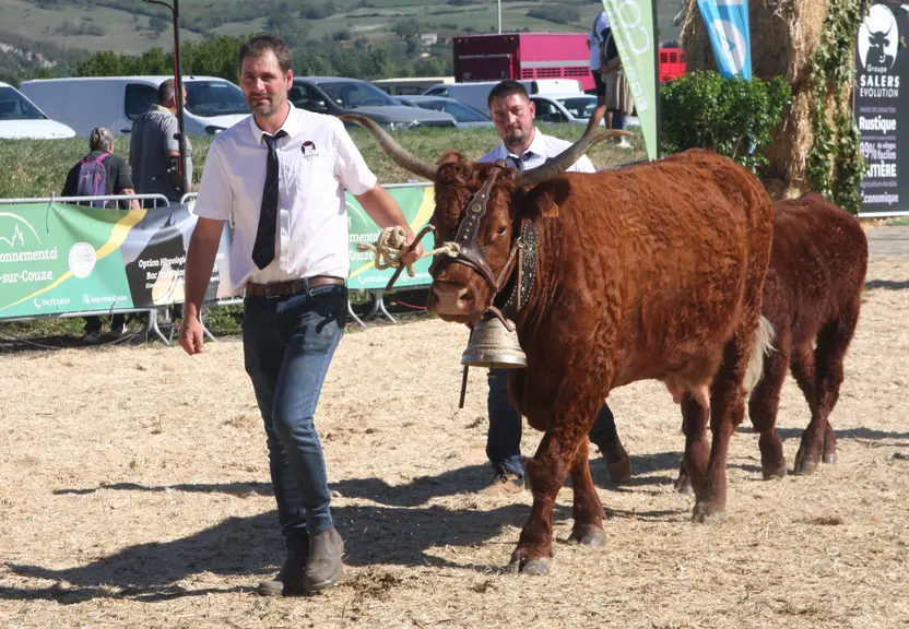 concours national salers 2026