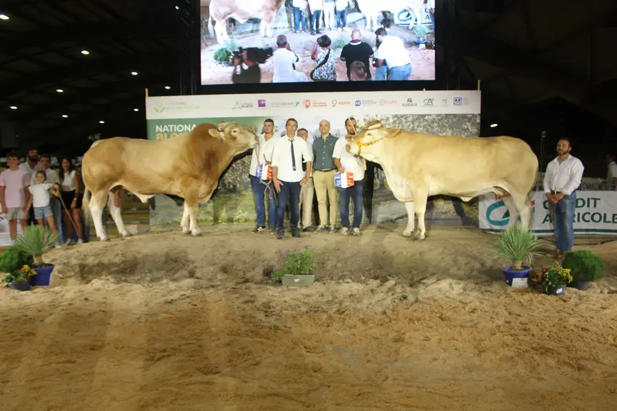 concours national blonde d'Aquitaine 2026 Agen