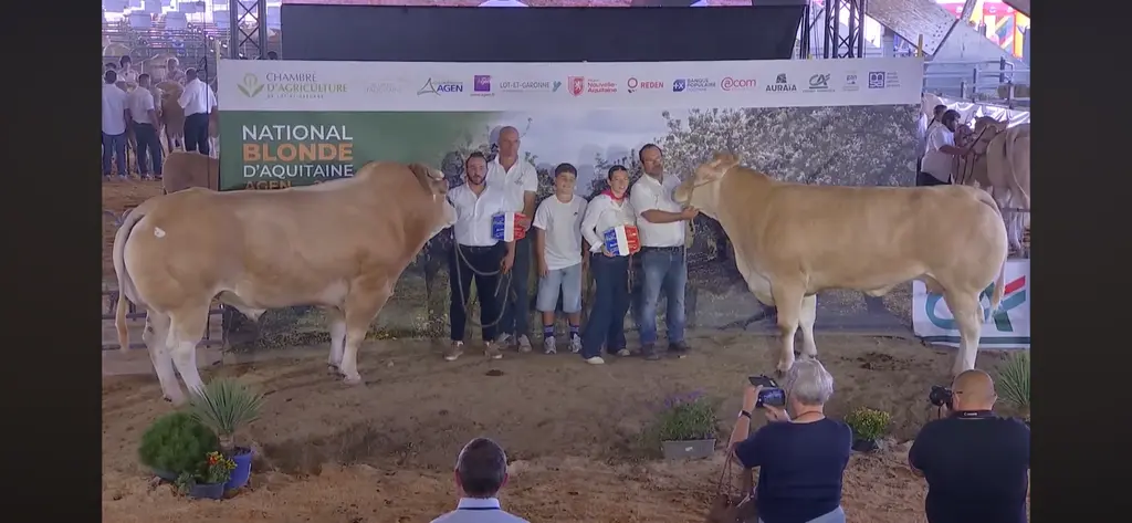 concours national blonde d'aquitaine 2026 agen