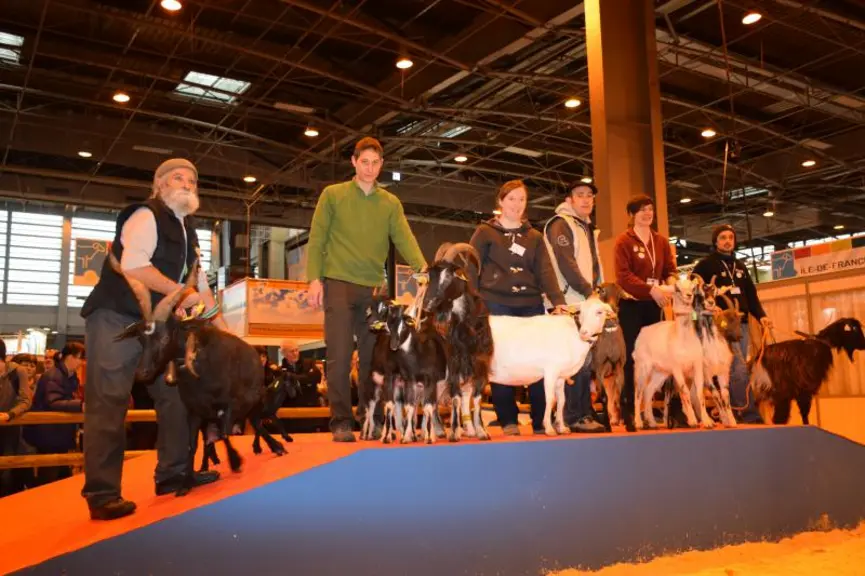 Le mercredi 25 février, les chèvres étaient à l'honneur sur le ring ovin/caprin avec le concours de jugement des animaux par les jeunes et, comme ici,