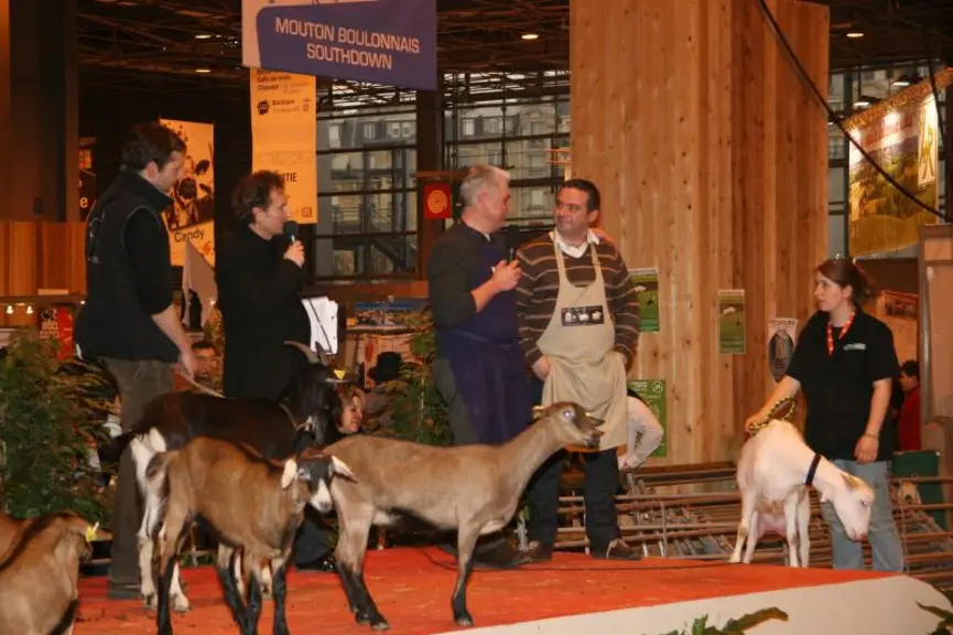 Les caprins ont fait leur show